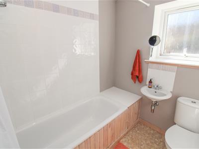 Picture 13